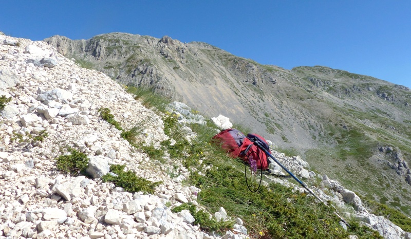 Monte Velino e Monti della Duchessa, le orchidee e la Natura  2024.